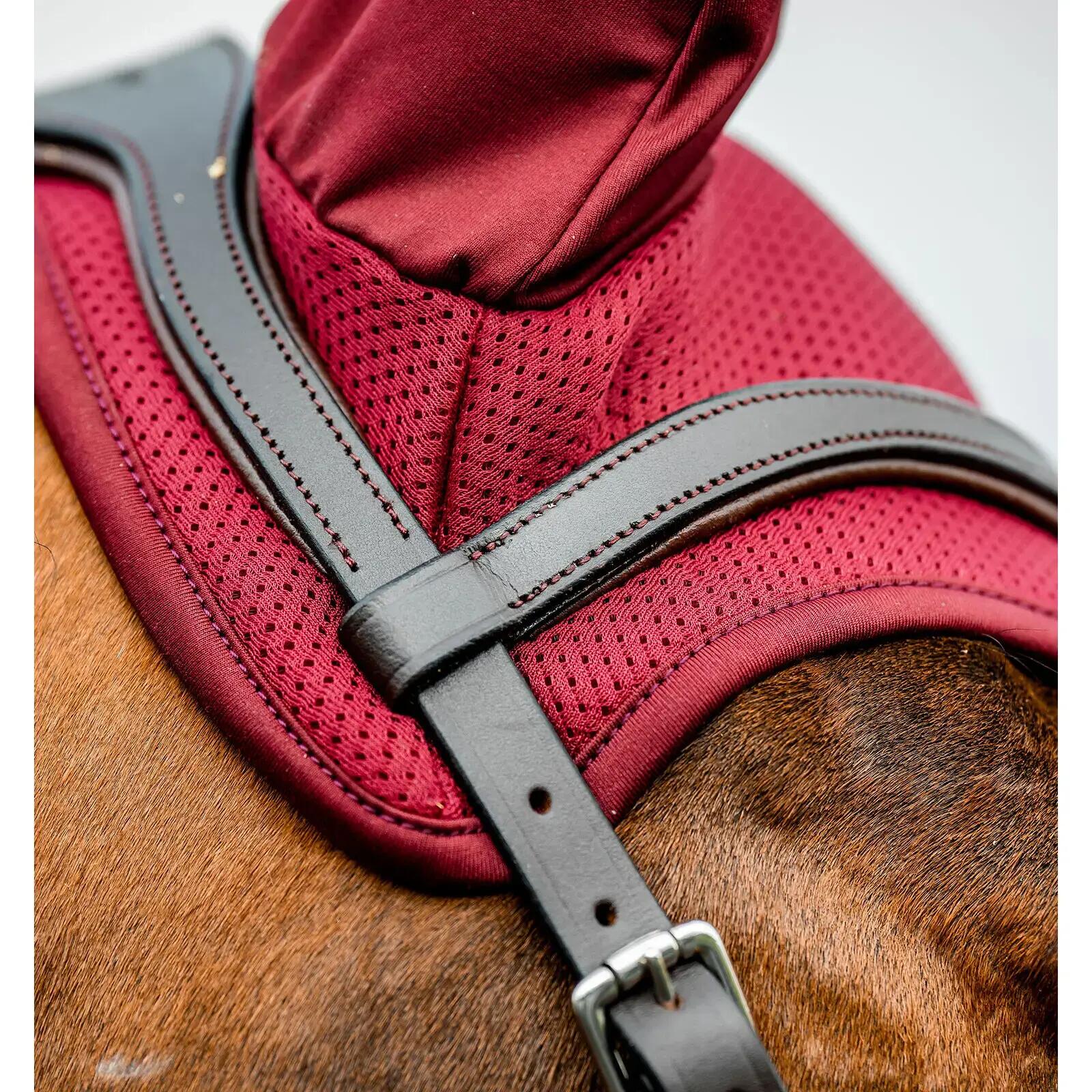 Bonnet anti-mouches pour cheval Horseware Amigo Earnet 3/3