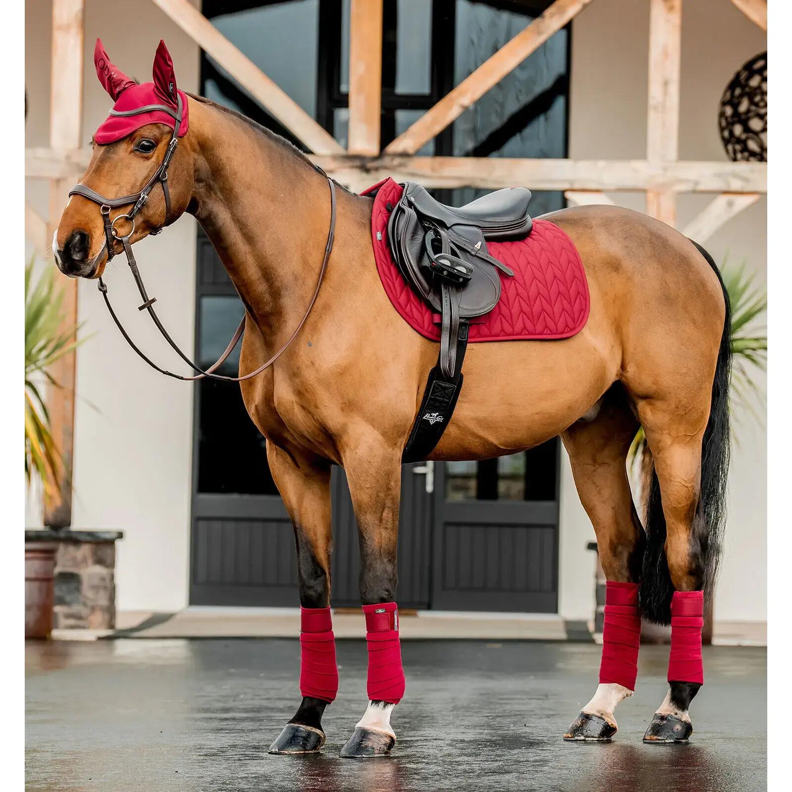 Bonnet anti-mouches pour cheval Horseware Amigo Earnet 2/3