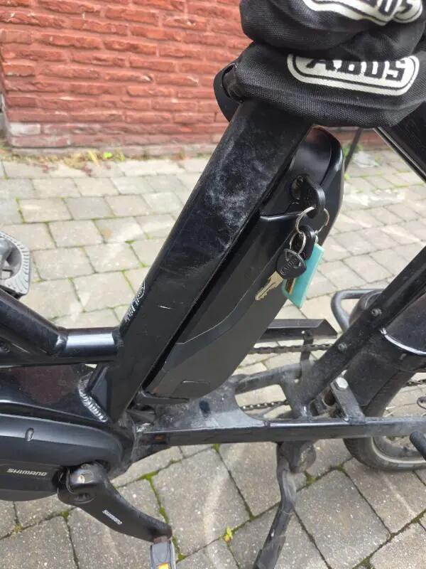Tussen Particulieren - Oxford cargo bike plus elektrisch 4/6