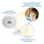 Lámpara de luz diurna LT 500 10.000 lux, luz ambiente 4 colores 6/6