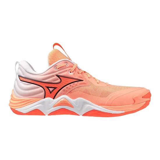 Chaussures indoor Mizuno Wave Momentum Elite