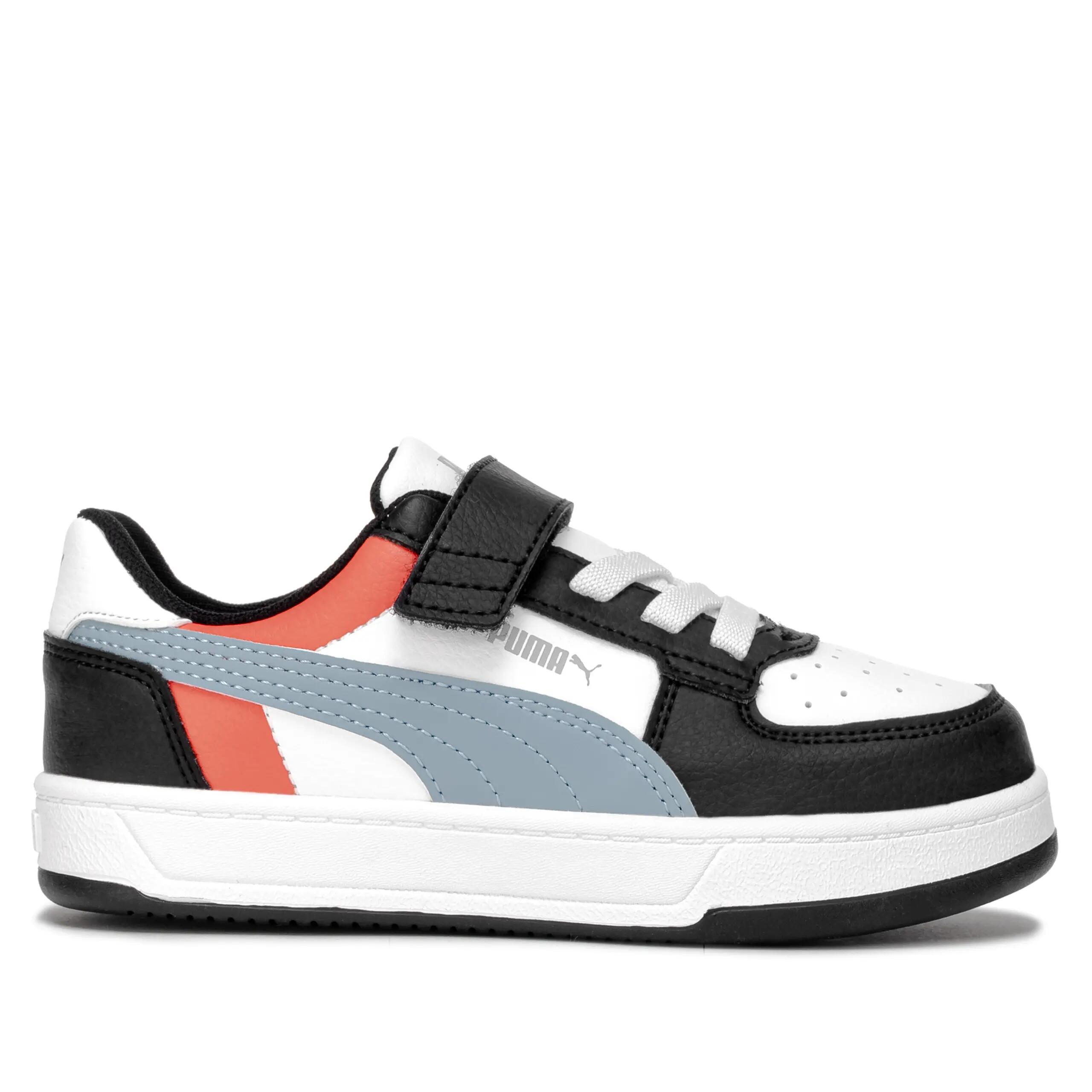 PUMA picture
