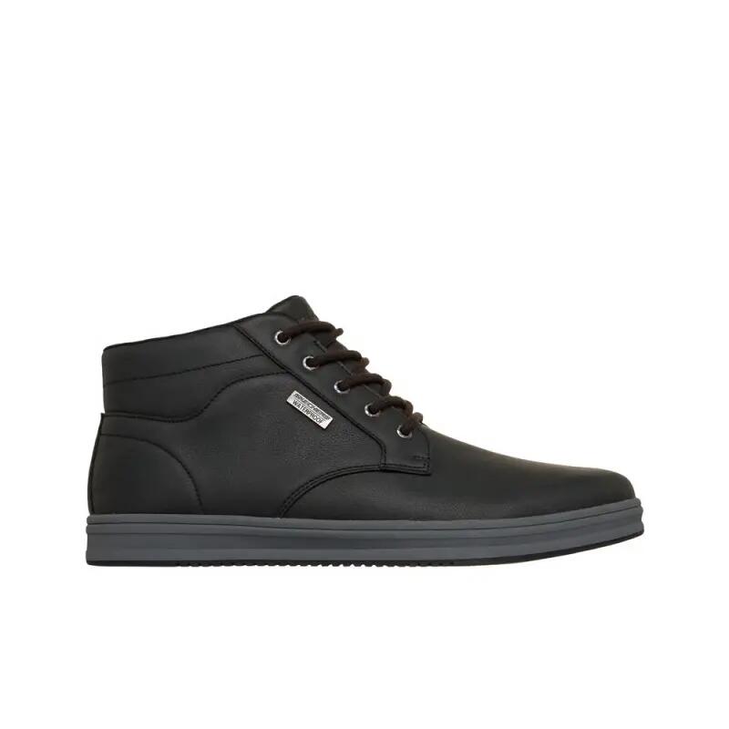 SKECHERS picture
