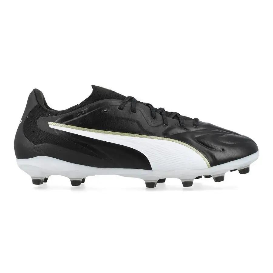 PUMA picture