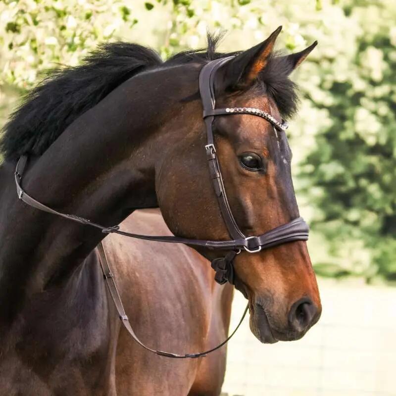 Bridons équitation pour cheval Kavalkade Light English Nb 4/4