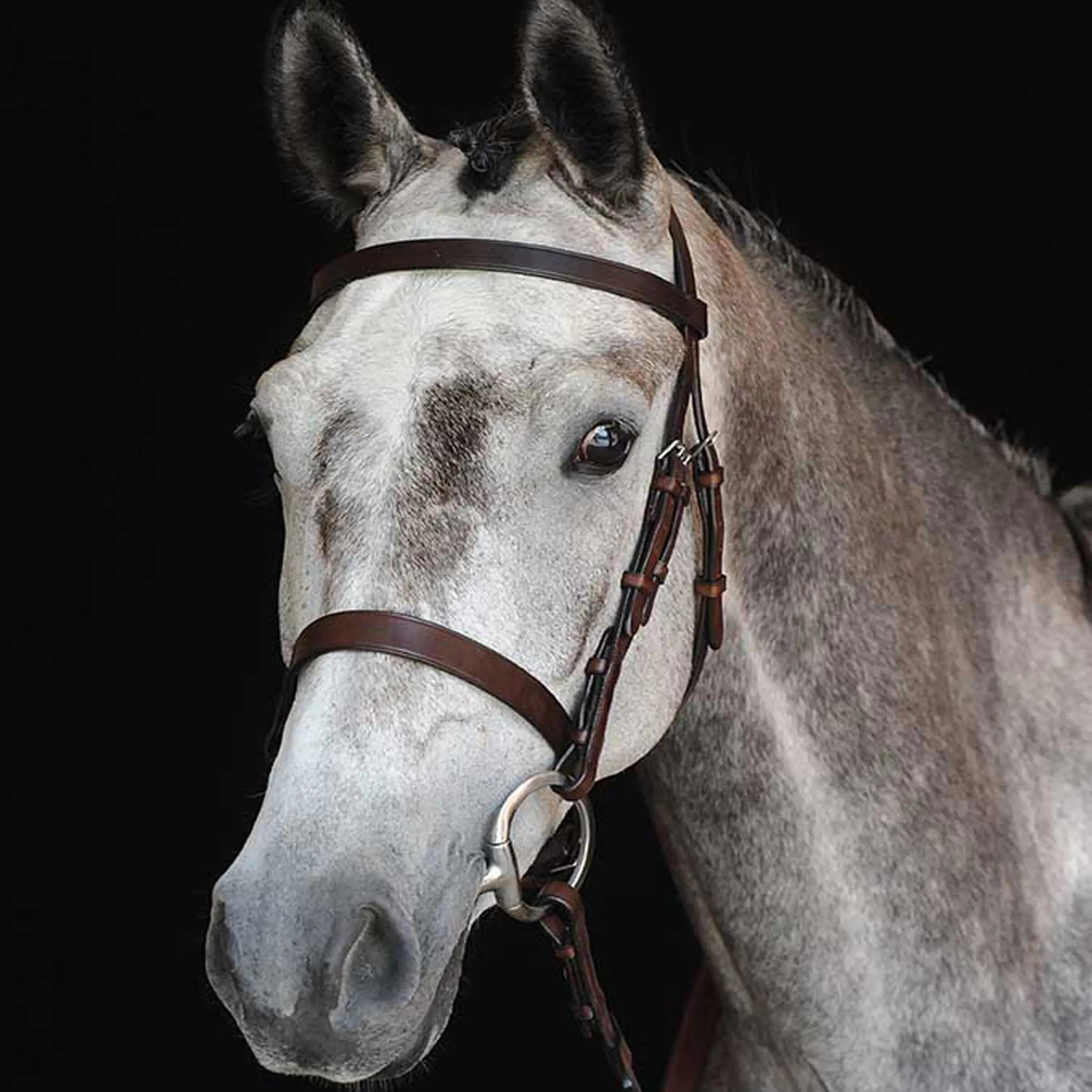 WEATHERBEETA picture