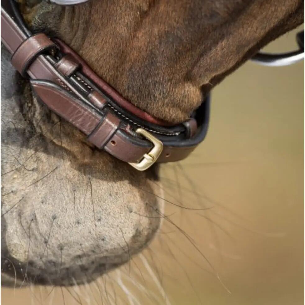 Bridas de equitación HFI German 3/5