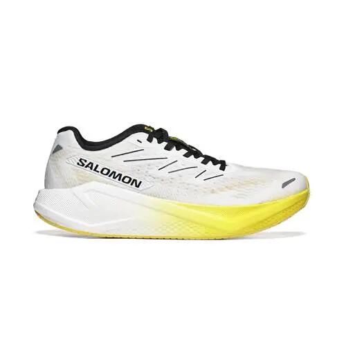 SALOMON picture