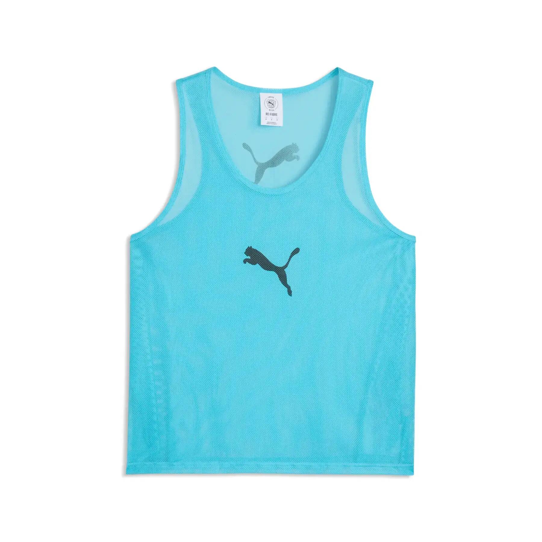 PUMA picture