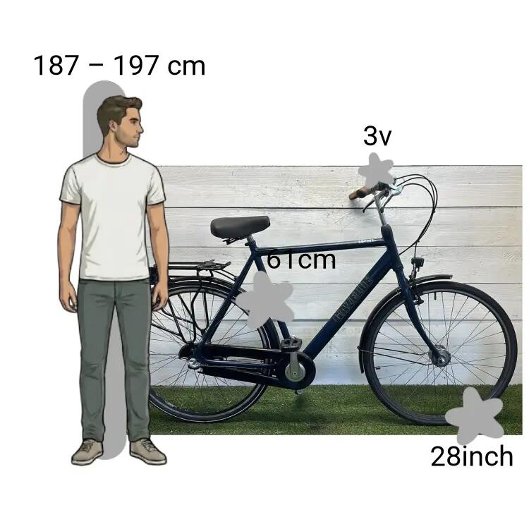 Gebraucht Gazelle Esprit 2/4