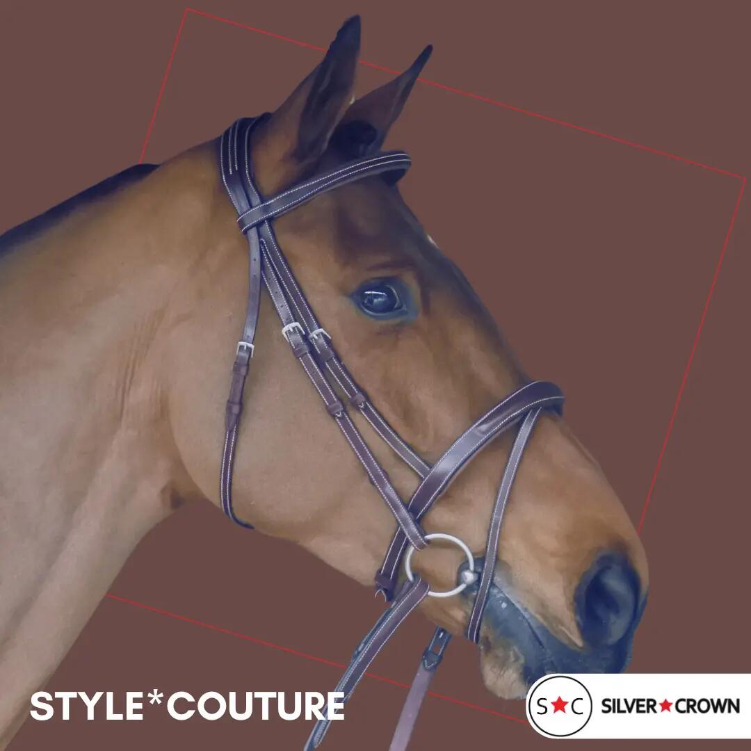 Bridons équitation pour cheval sans rênes Silver Crown Style Couture 2/2