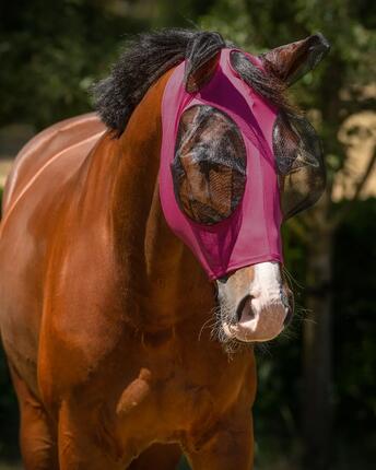 Bonnet anti-mouches pour cheval QHP Super Bug