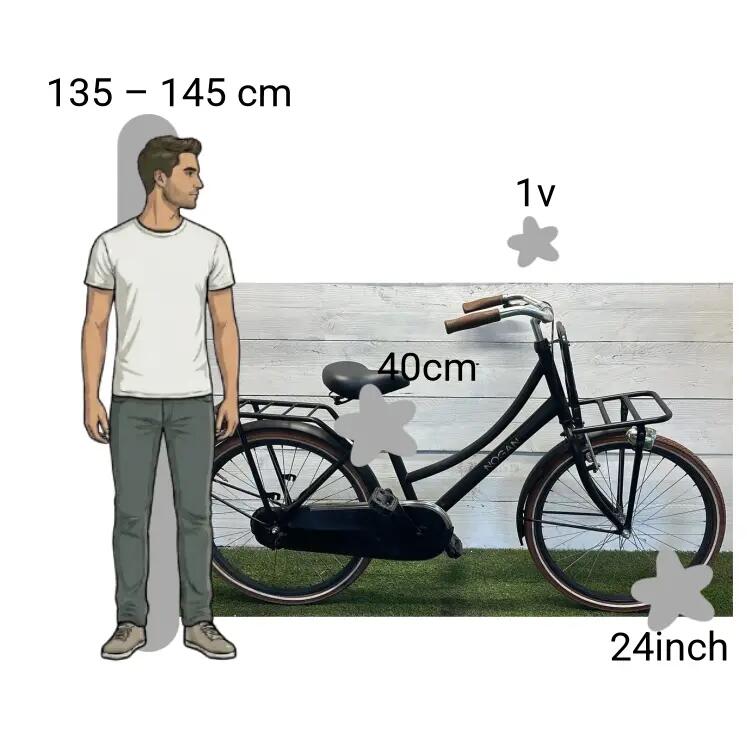 Bicicletta usata Nogan Transportfiets 2/4