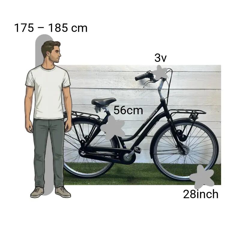 Bicicletta usata Move Transportfiets 2/4
