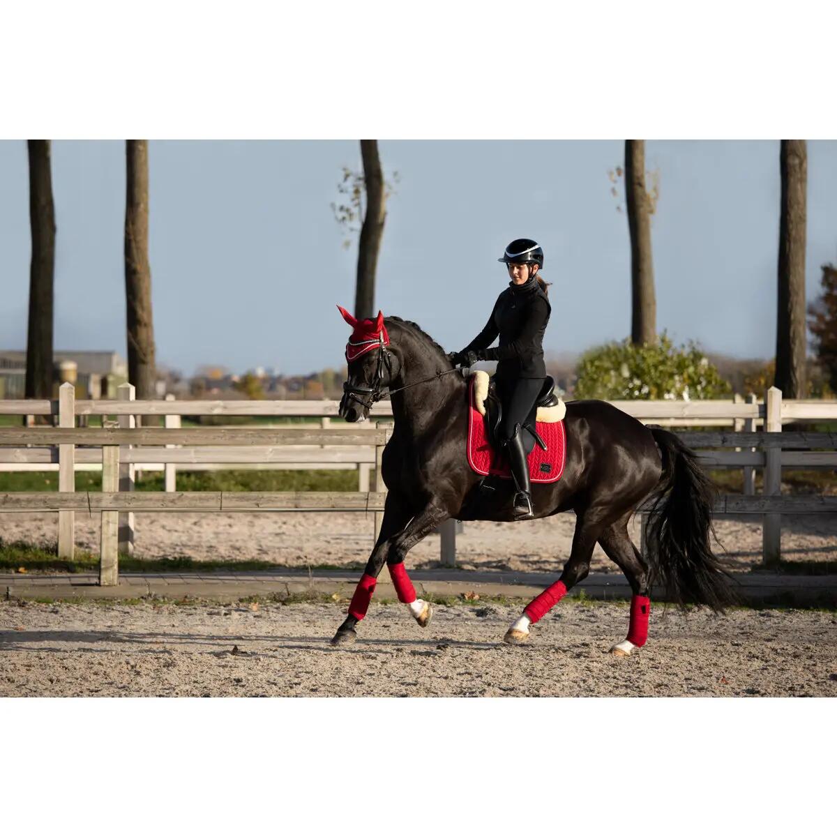 Paardenmuts court HFI Velvet 2/3