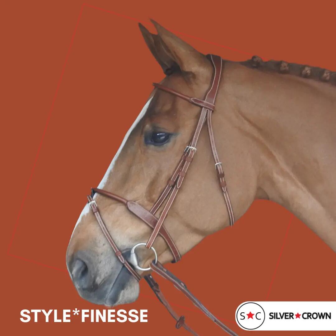 Bridon équitation pour cheval Silver Crown Style* Finesse 2/2