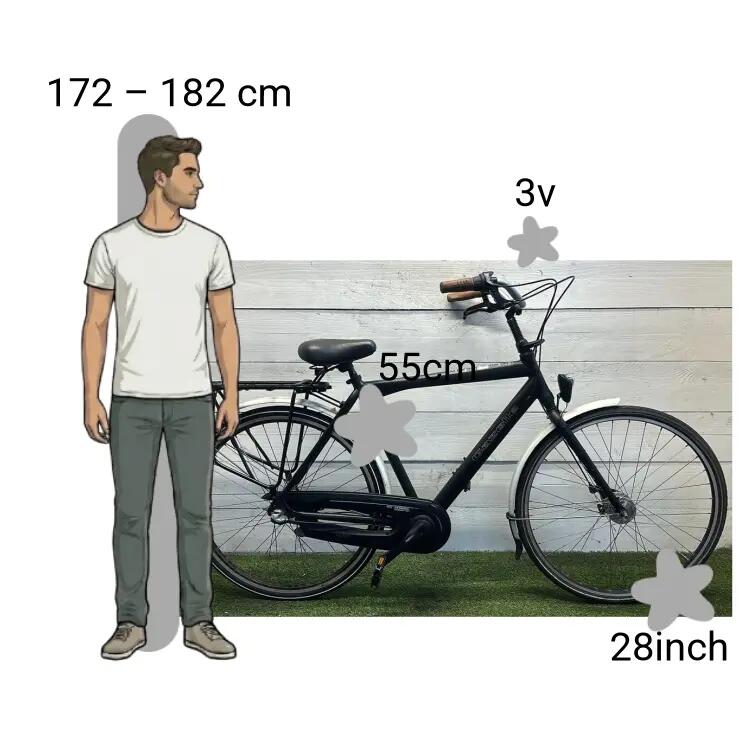 Gebraucht Gazelle 66 Degrees 2/4