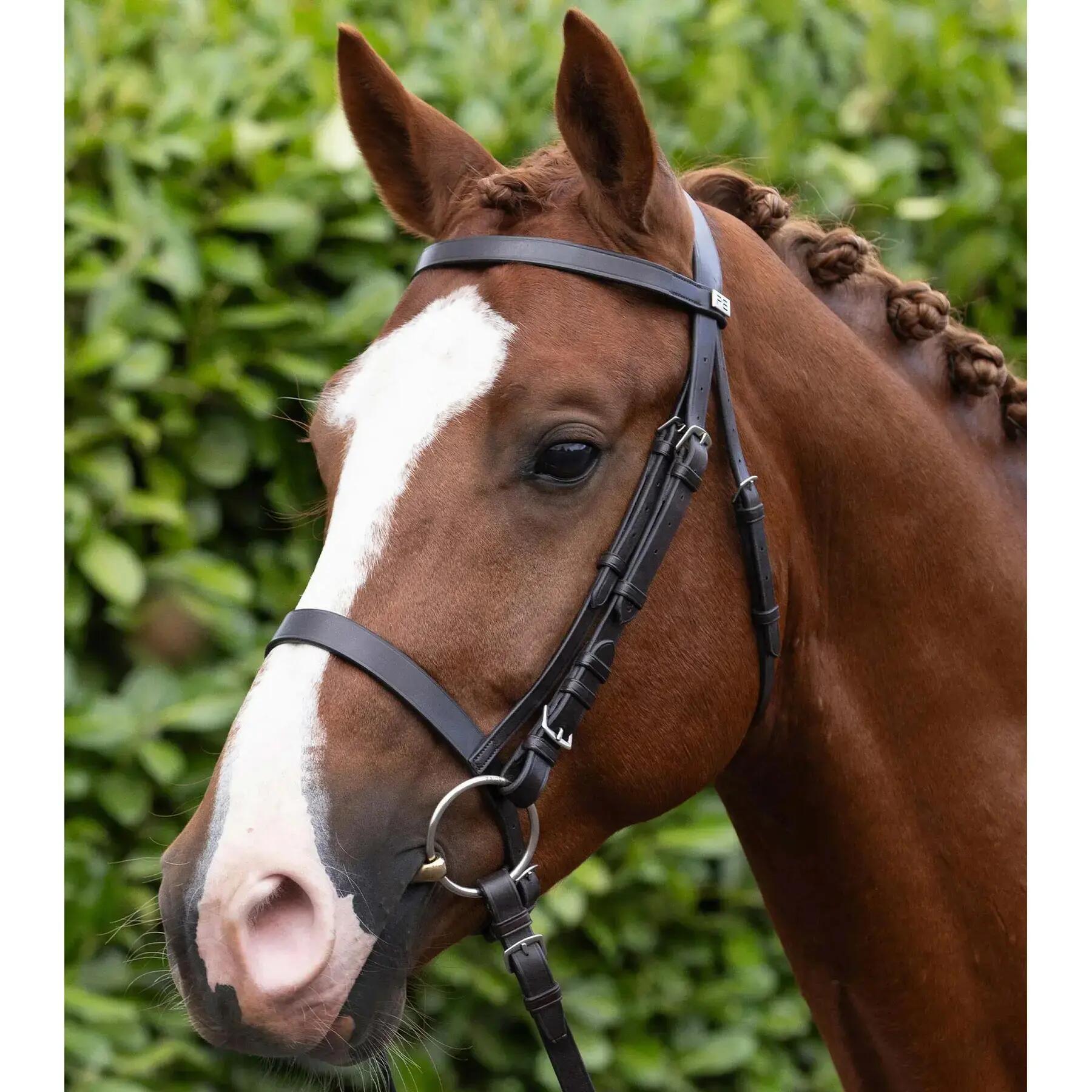 Bridas para caballos Premier Equine Caveson 6/6