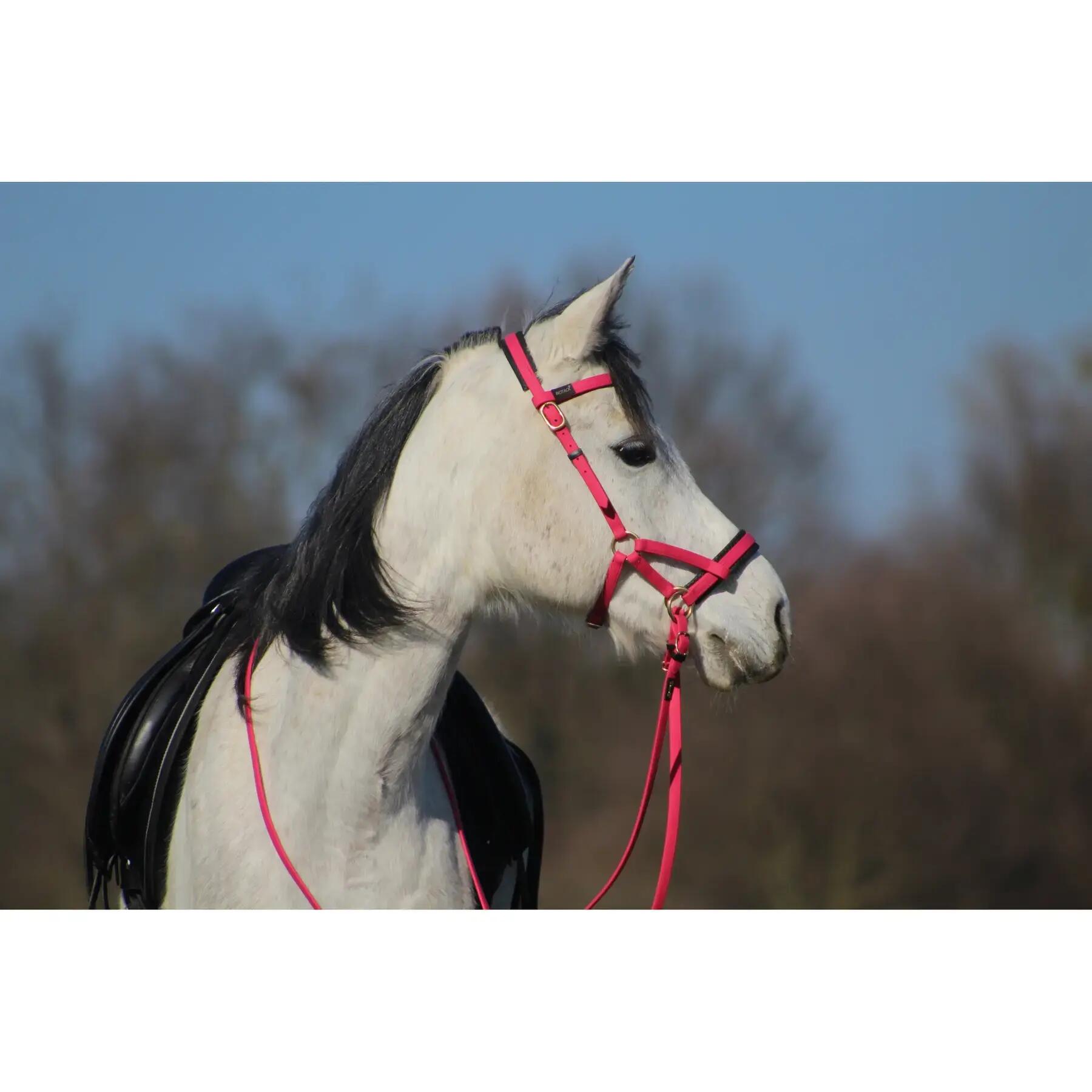 Zaumzeug Reiten T de T Sidepull Biotack® 2/2