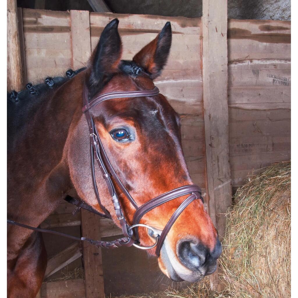 Bridles T de T Klimt
