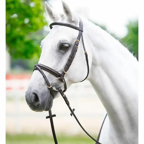 Bridons pour cheval frontal bombé rond bouclerie inox Daslö