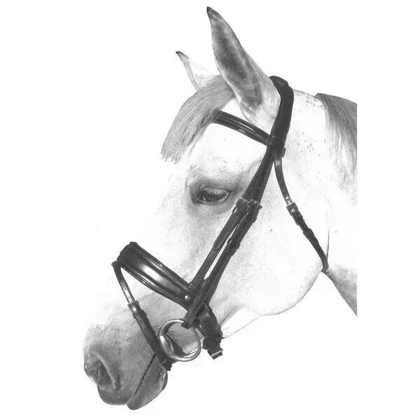 Bridons équitation + rênes cuir/grip Silver Crown Grand Tour 1/1