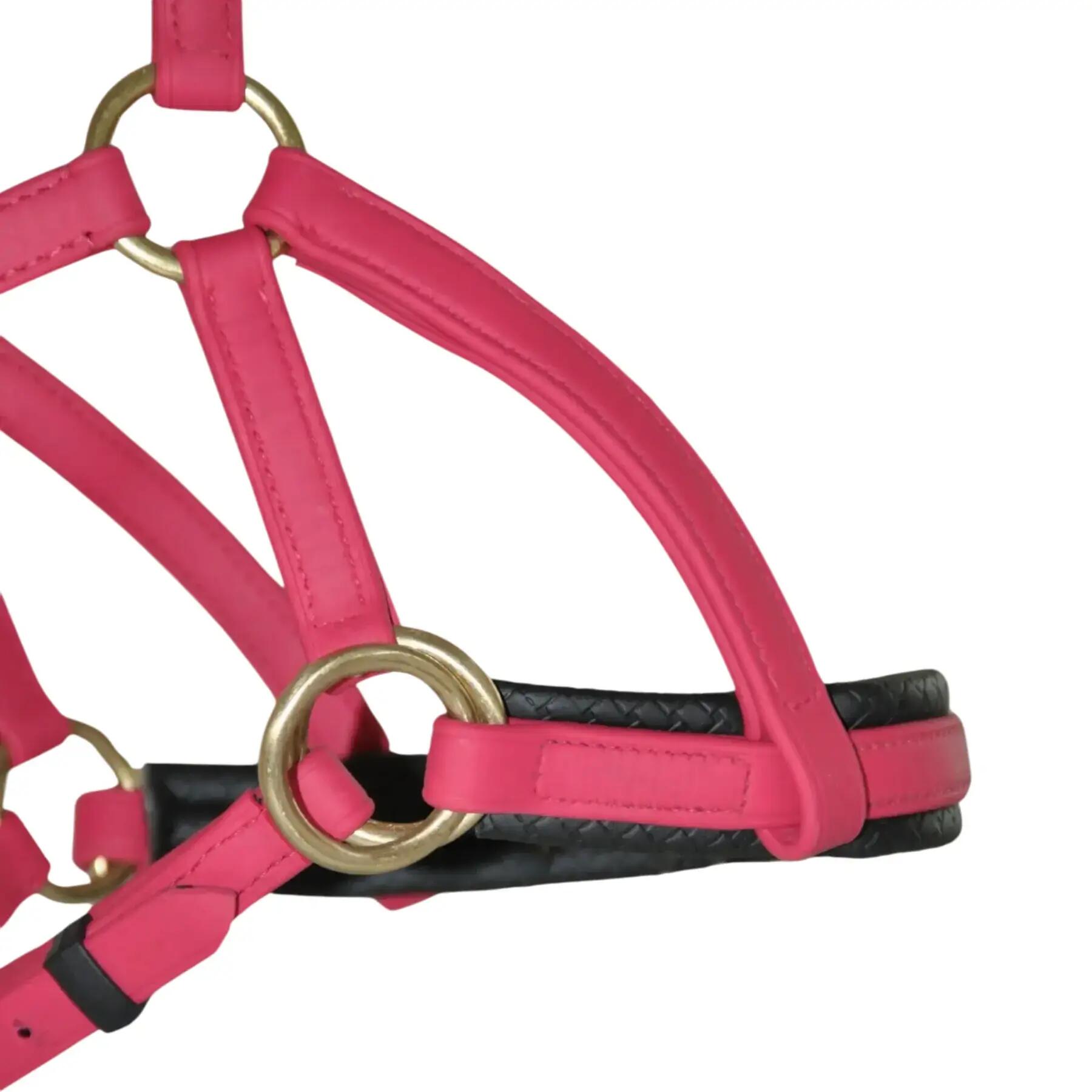 Briglie da equitazione T de T Sidepull Biotack® 3/3