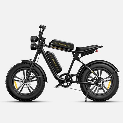 ENGWE M20 Vélo Électrique, Batterie 48V 13Ah×2, Pneus 20×4.0INCH