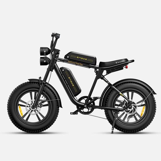 ENGWE M20 Vélo Électrique, Batterie 48V 13Ah×2, Pneus 20×4.0INCH