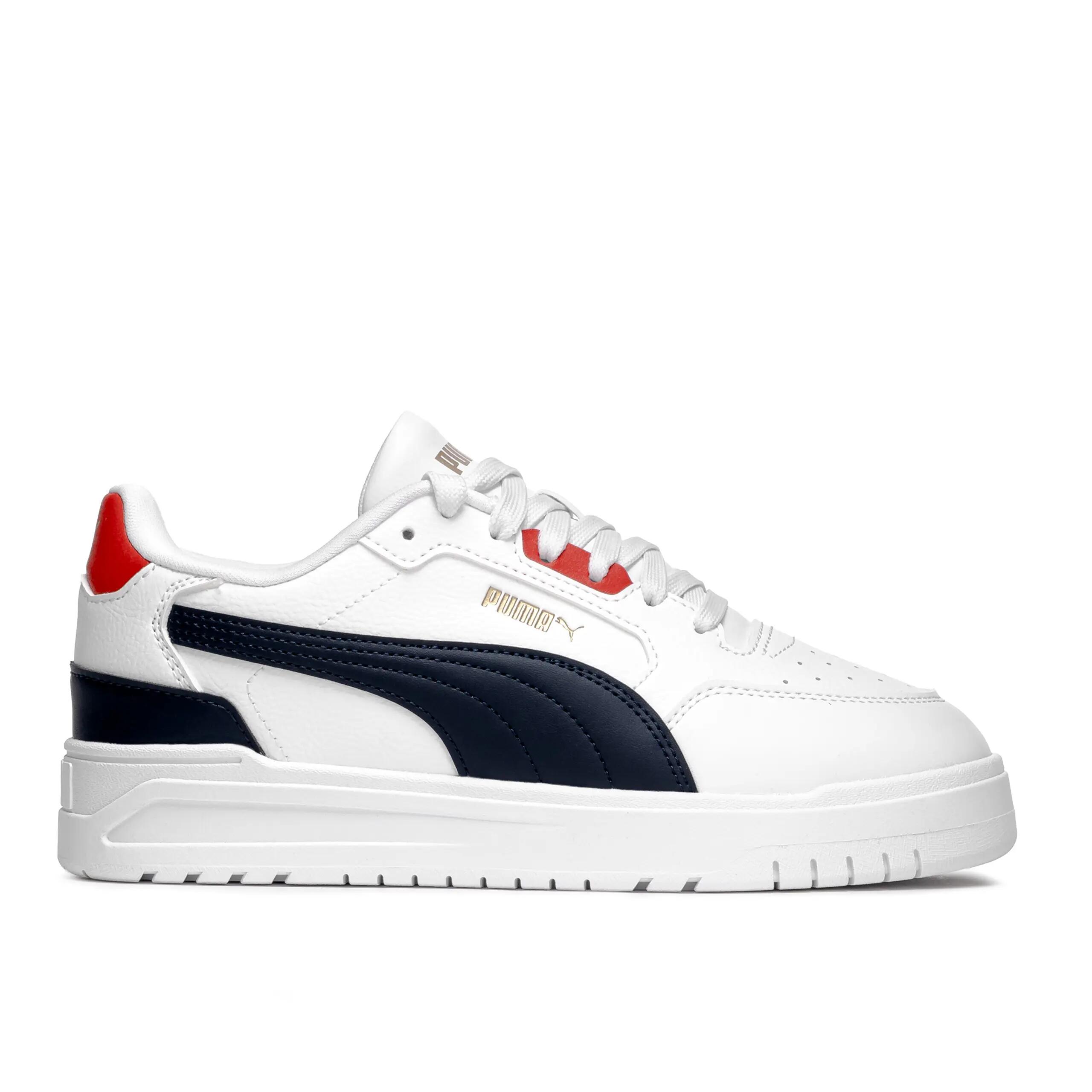 PUMA picture