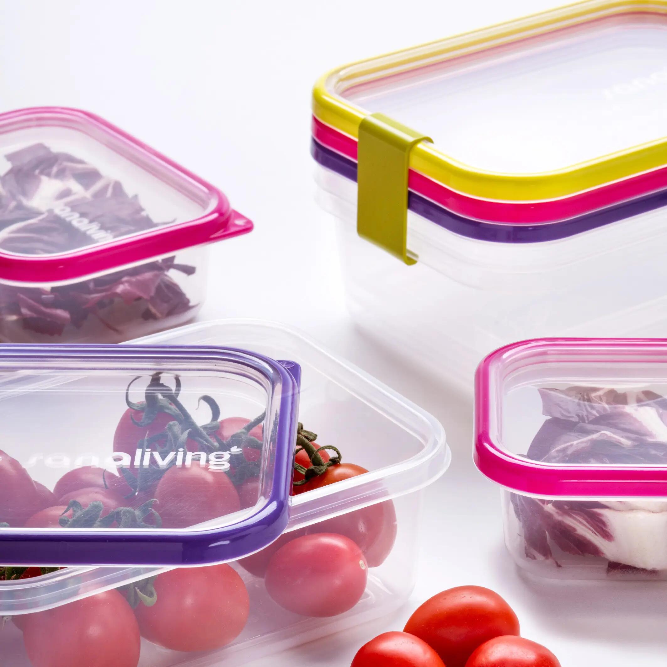 Set plastových dóz, Omada Sanaliving Box Set 3x 24x16,5x8cm/2L 3/6