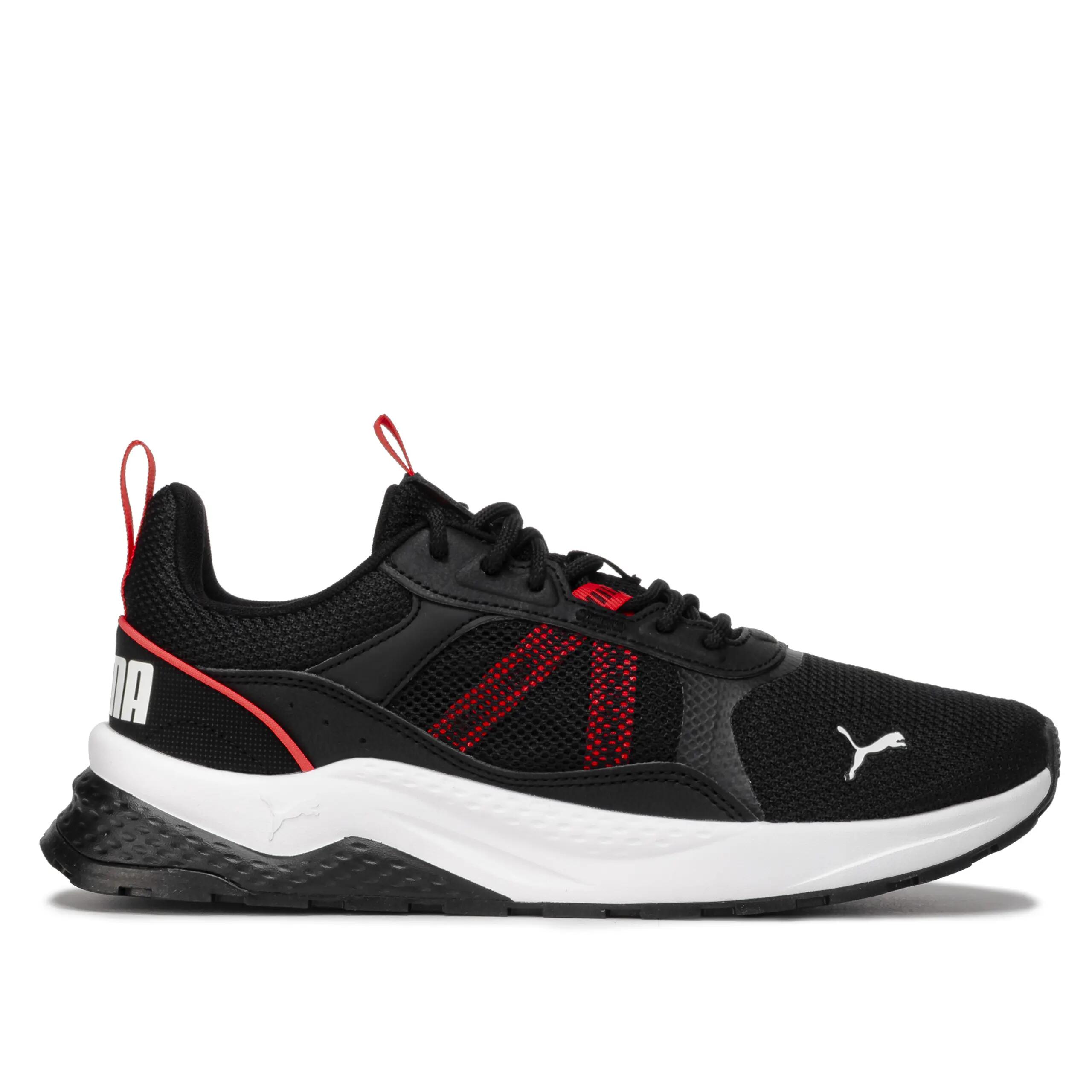 PUMA picture