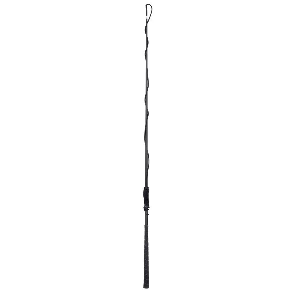 Harry's Horse Longeerzweep Carbon Telescoop - Zwart