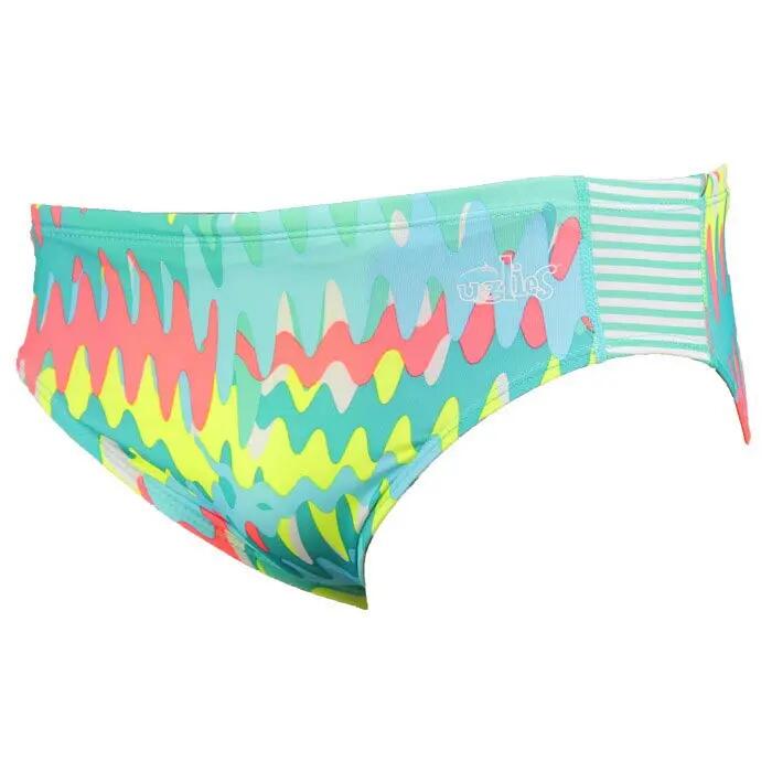 DOLFIN picture