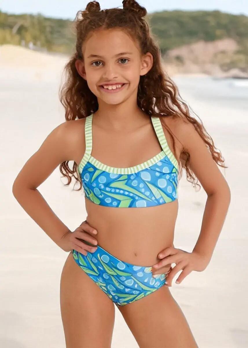 DOLFIN picture
