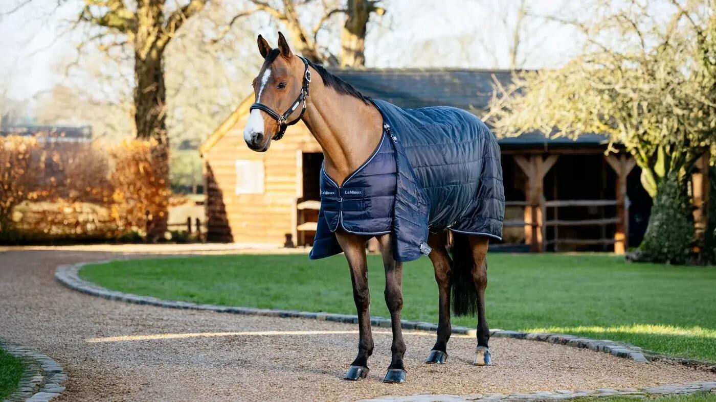 Lemieux Rug Liner Onderdeken Blauw - 2/3