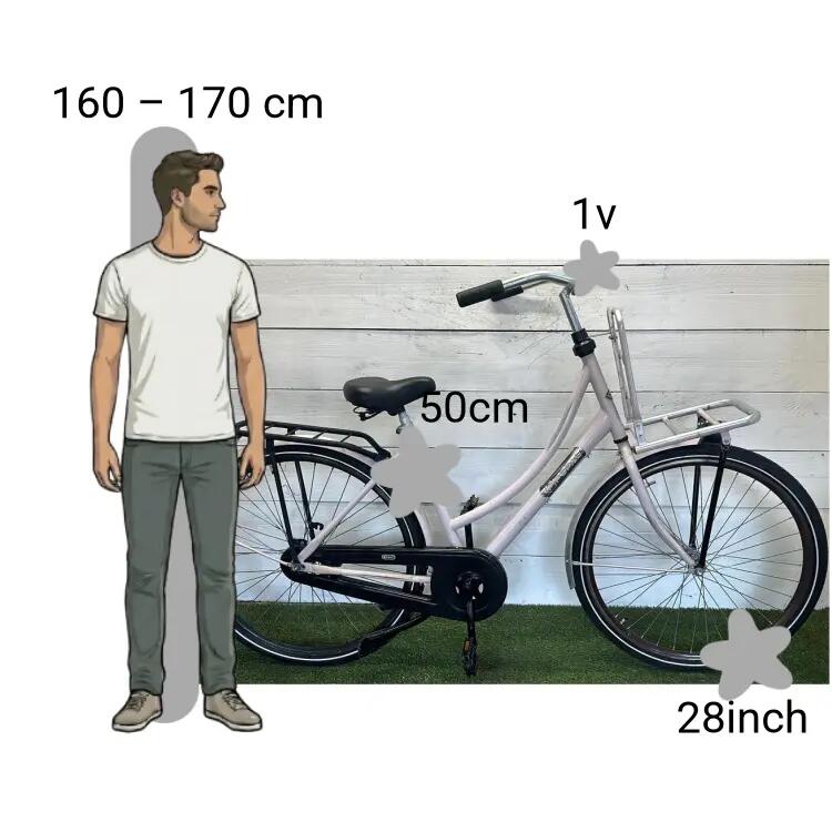 Tweedehands Popal Transportfiets 2/4