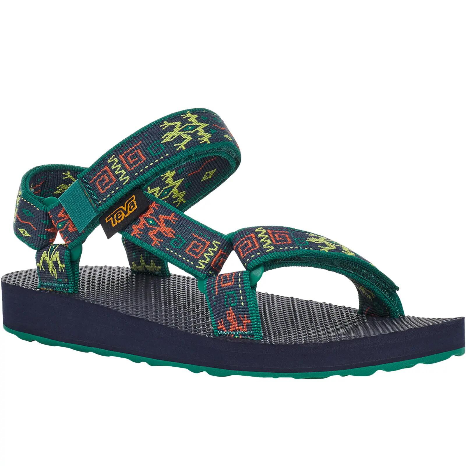 TEVA picture