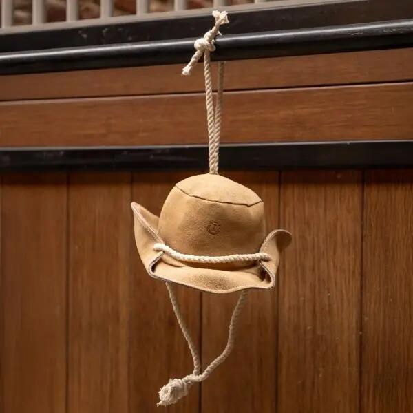 Imperial Riding Stable buddy IRHCowboy hat - Bruin 3/3