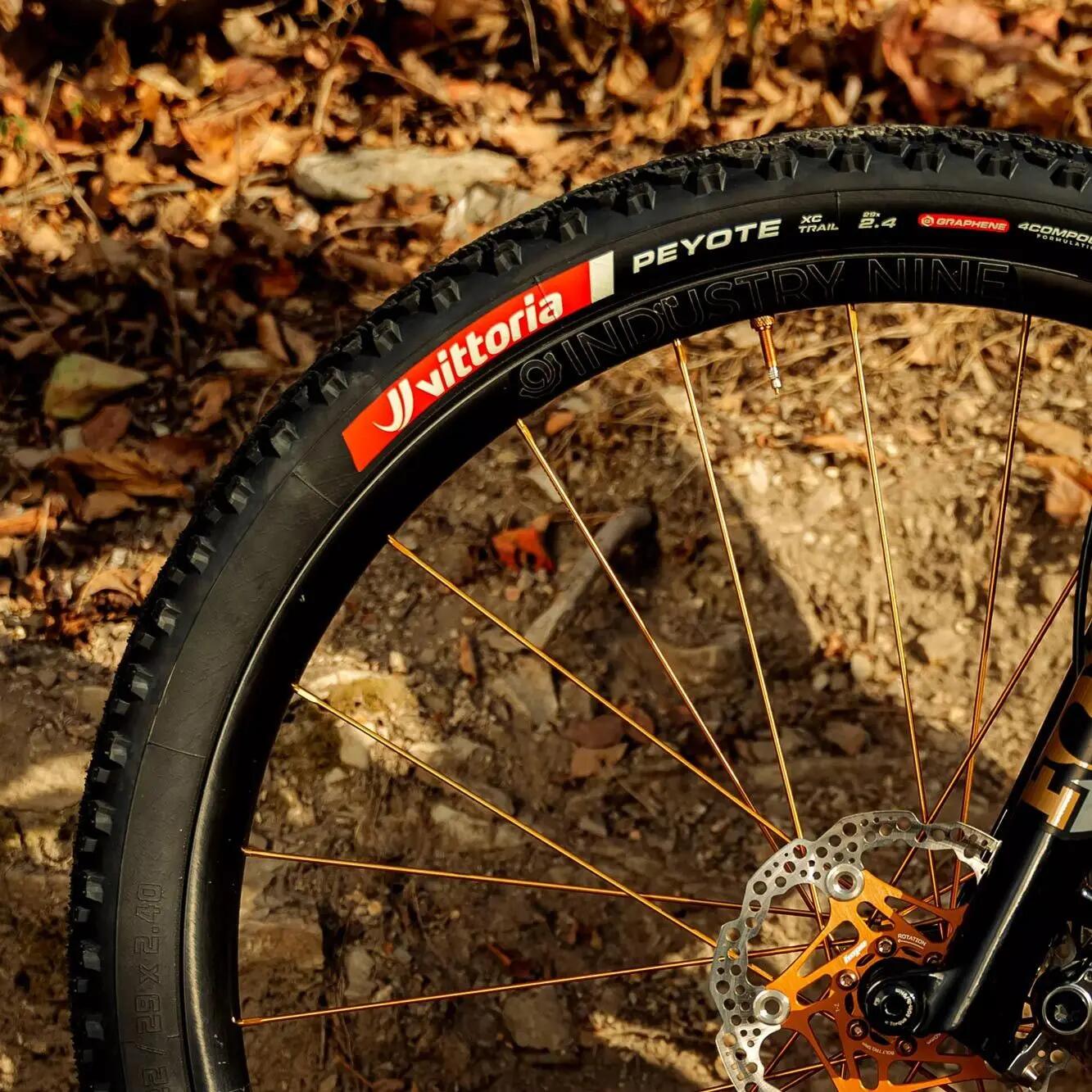Pneu VTT Vittoria Peyote XC Trail 29'' Tubeless Ready Souple Anti-Puncture Belt 4/5