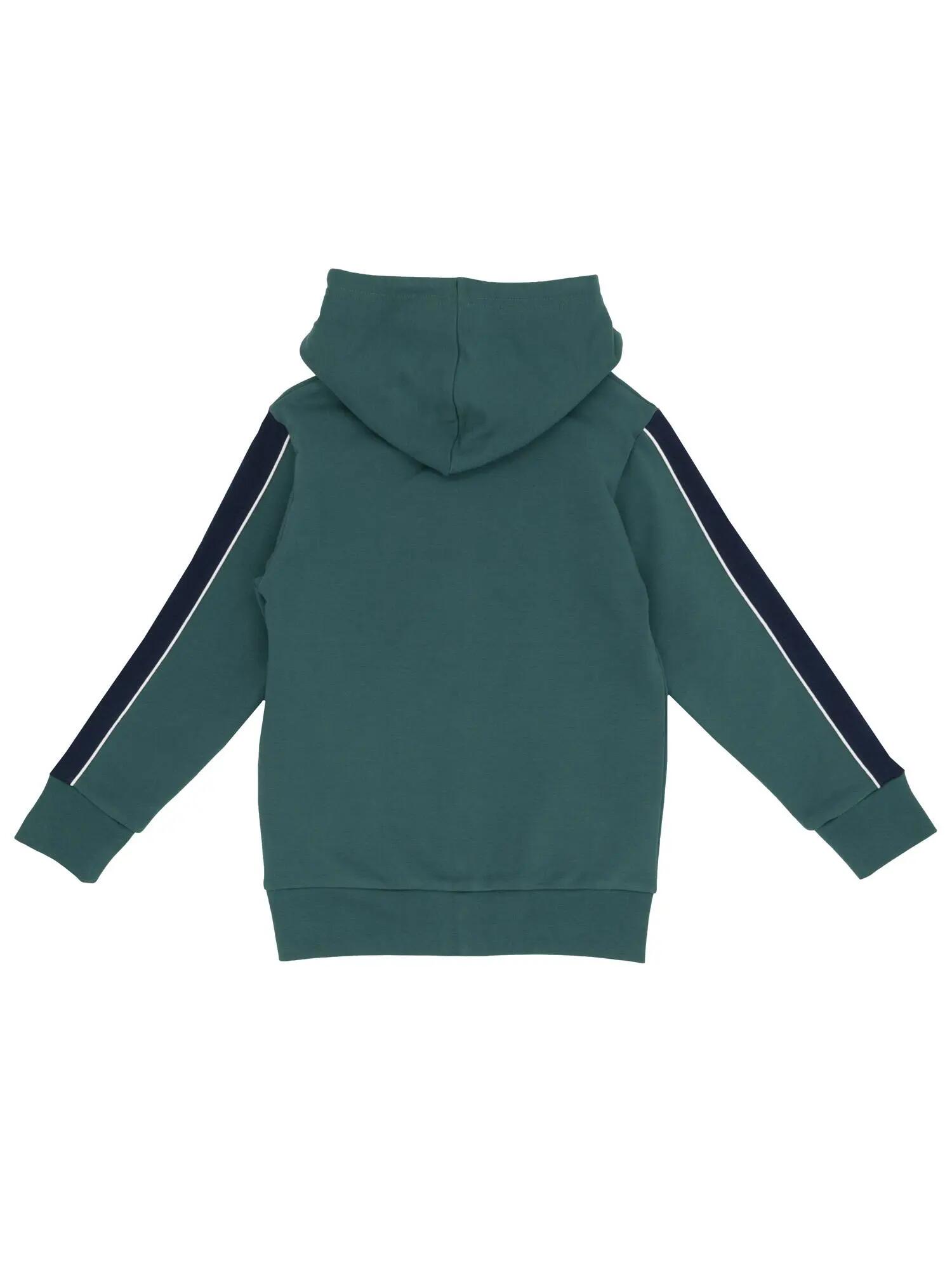 Sweat-shirts à capuche zippés Lion Kids pour enfants 2/2