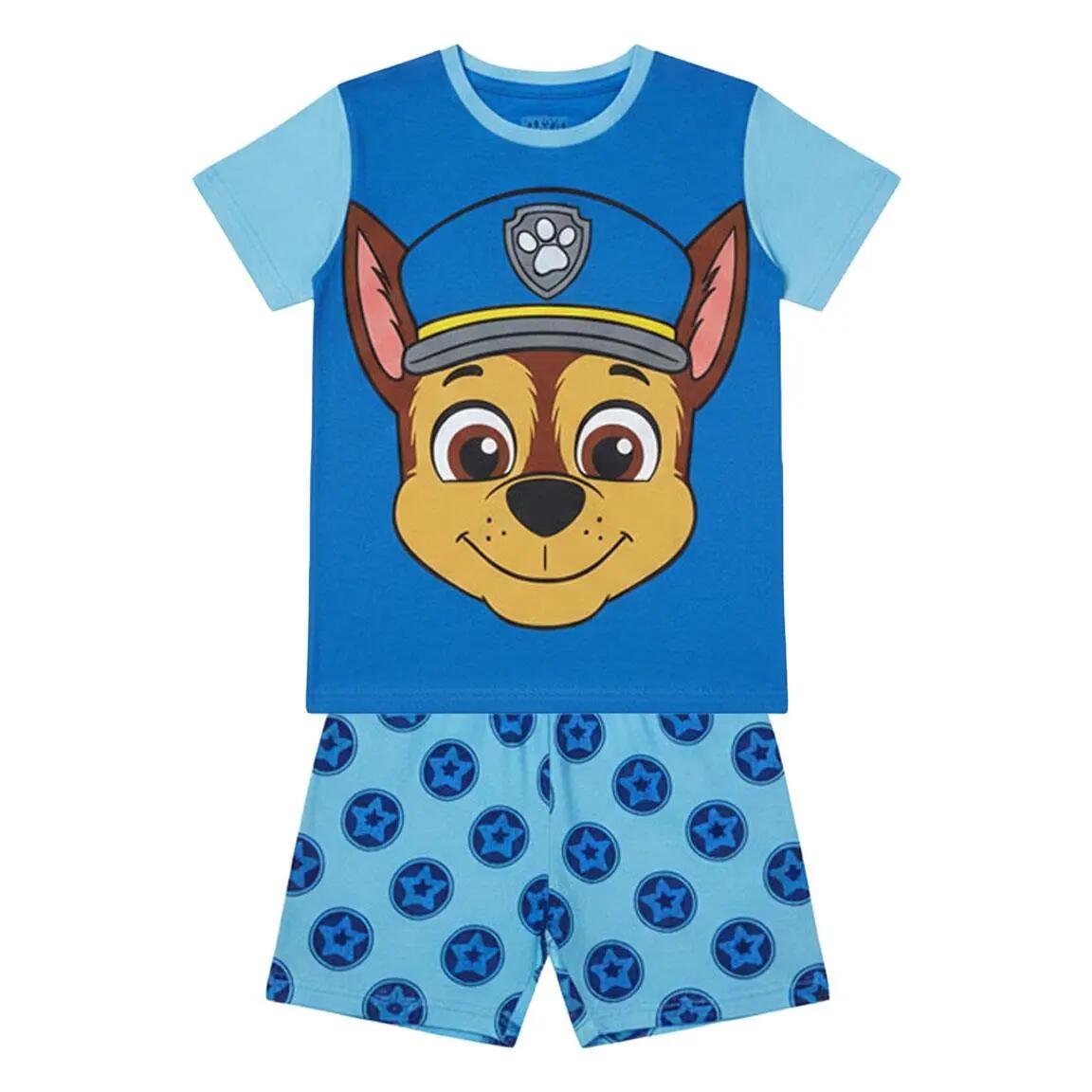 PAW PATROL picture