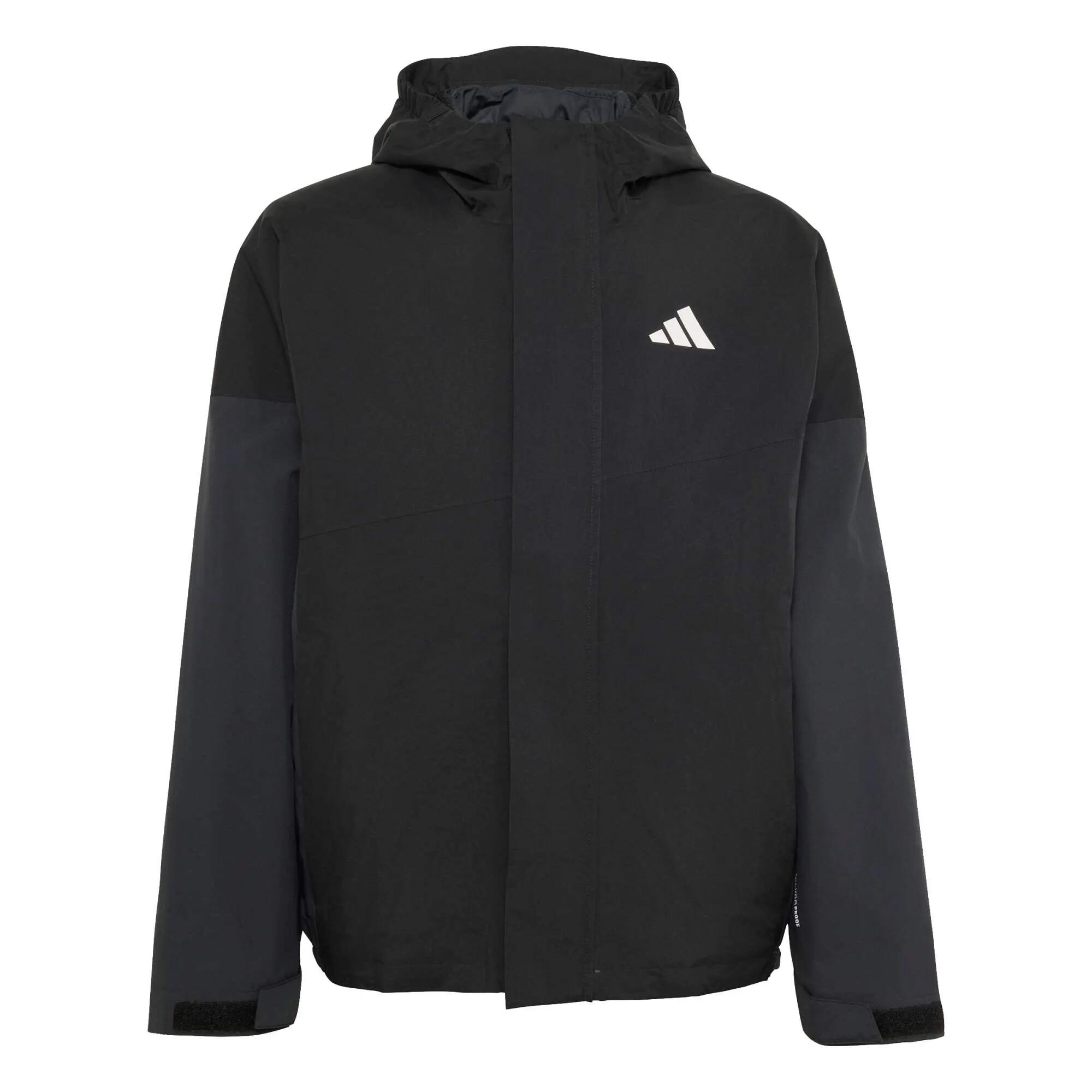 ADIDAS picture
