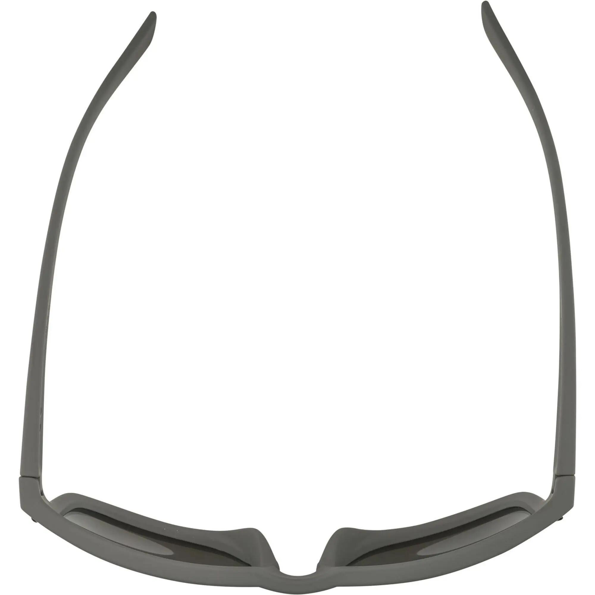 Lunettes de sport Olympic Sportswear Alpina Kosmic gris 5/6