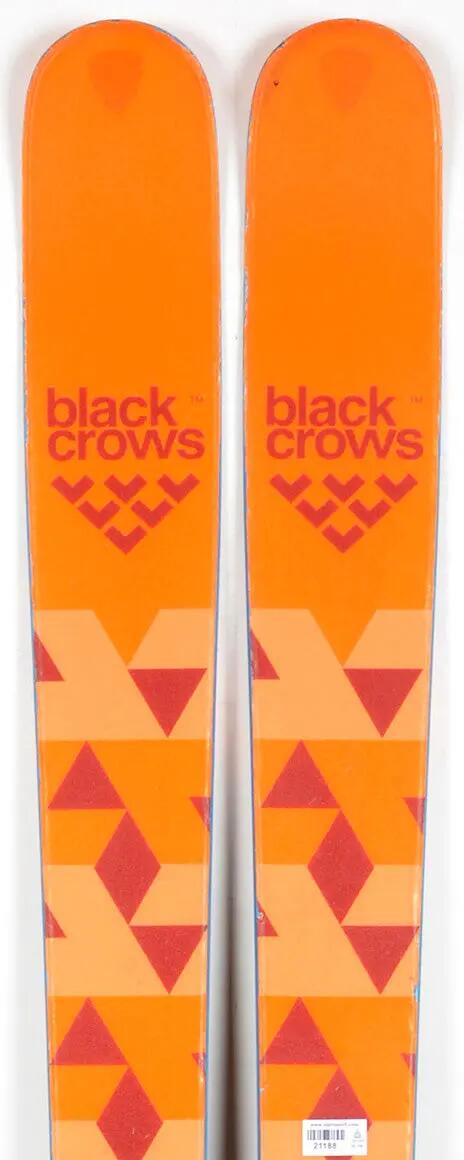 BLACK CROWS picture