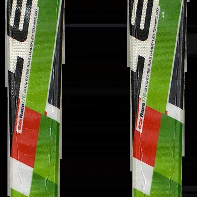 Втори живот - Ски Elan Race GSX Ti2 176cm