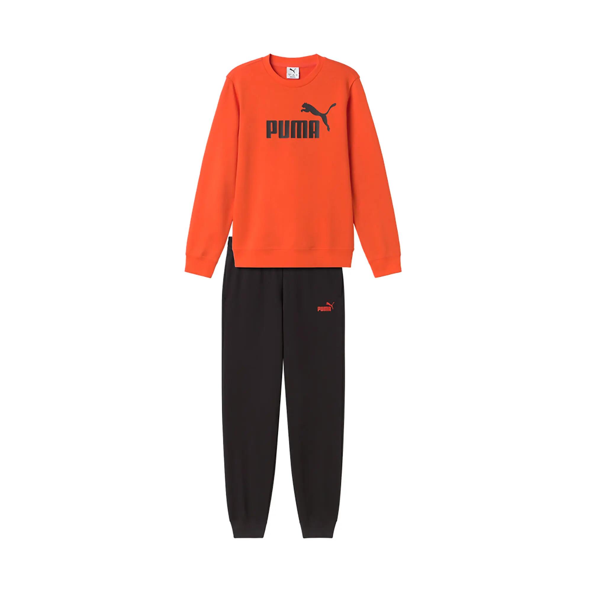 PUMA picture
