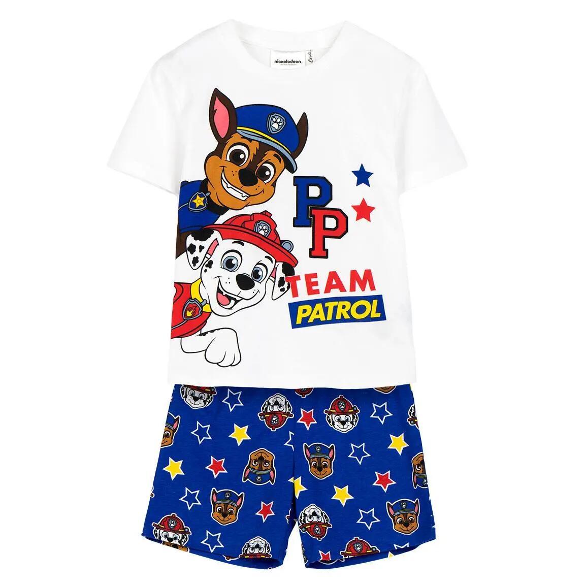 PAW PATROL picture