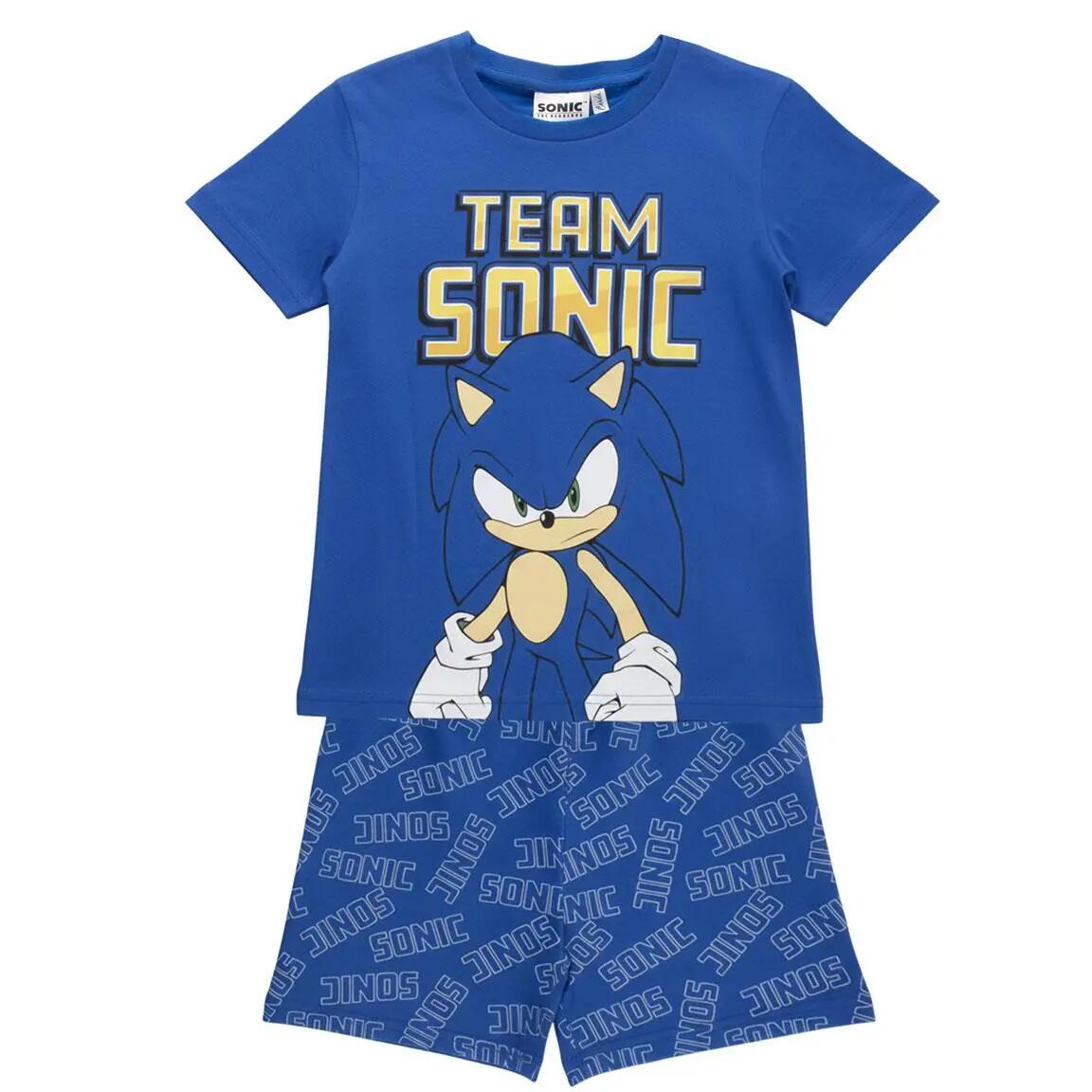 SONIC THE HEDGEHOG picture