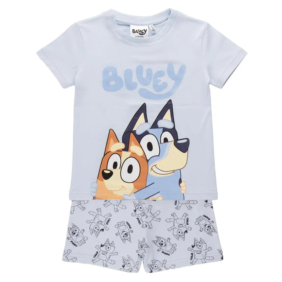 BLUEY picture